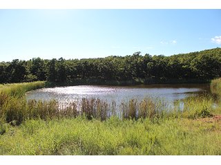 Property photo 16 - LAND AUCTION - 440+/- ACRES OFFERED IN 17 TRACTS IN OSAGE CO., OKLAHOMA